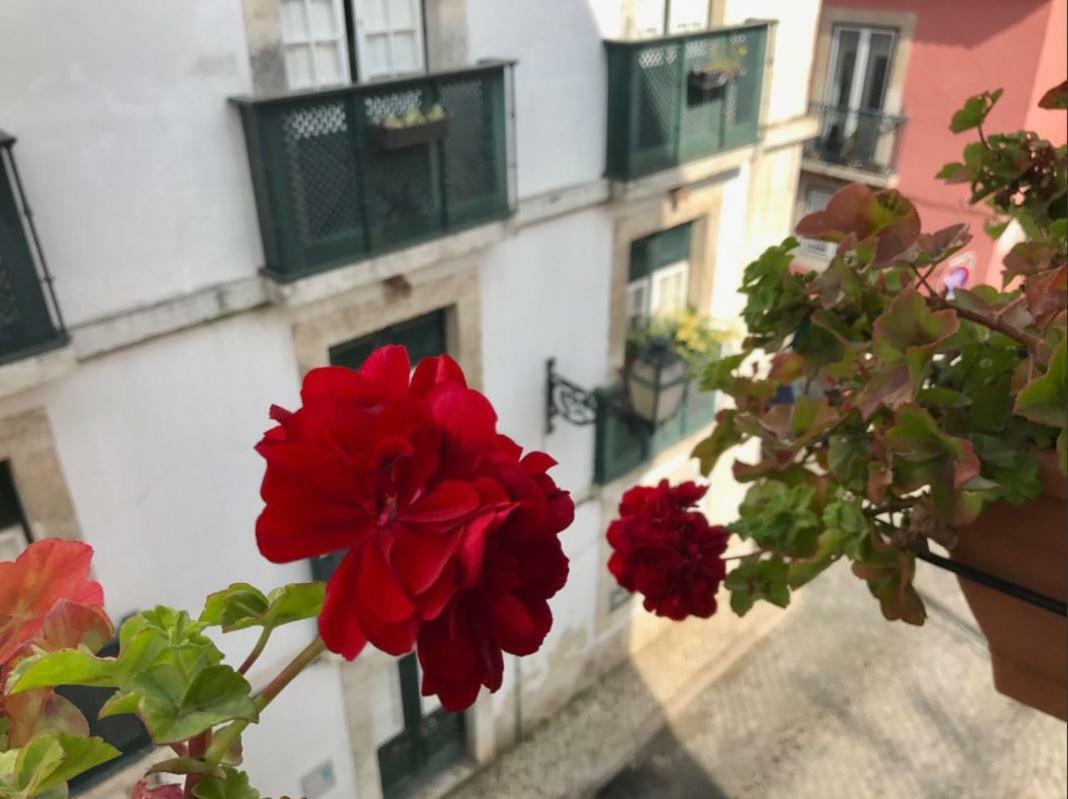 In The Heart Of Lisbon Apartment Екстериор снимка